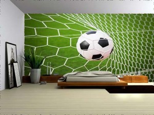 Soccer Ball in the Goal Net