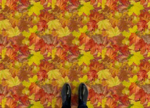 Fallen Autumn Leaves Flooring Autumn