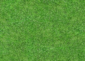 Grass Effect Vinyl Flooring Lawn