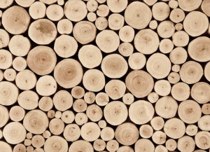 Scandinavian Logs Vinyl Flooring Malmo
