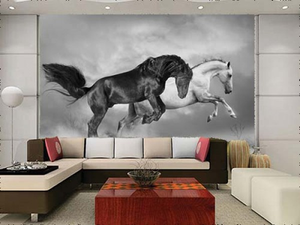 Black and White Horses | Animal WallMural | WallMural | Decor Your Walls
