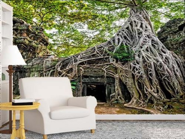 Temple With Giant Banyan Tree | Nature WallMural | WallMural | Decor Your  Walls